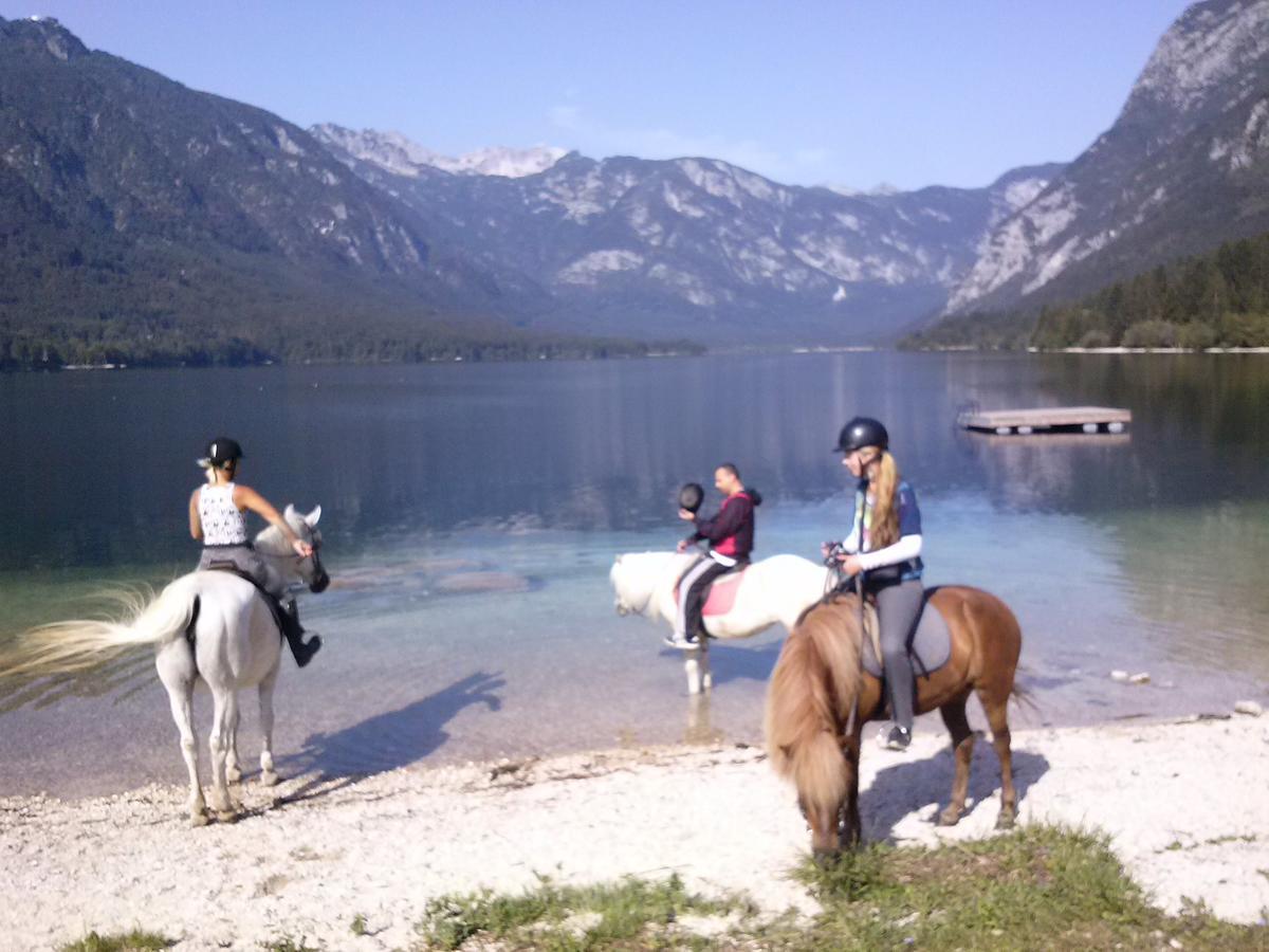 Appartement Tubej Bohinj